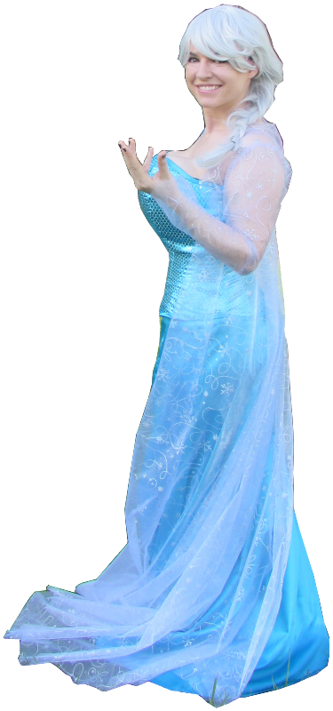 the Snow Queen Elsa Frozen Costume Dress Gown 