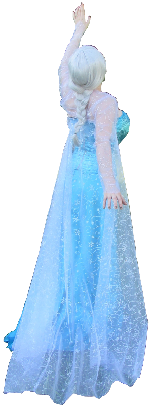 the Snow Queen Elsa Frozen Costume Dress Gown 