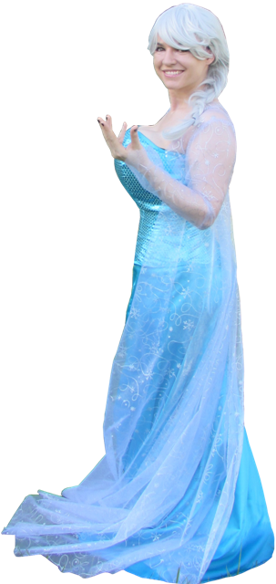 Snow Queen Costume Elsa Frozen Dress Gown