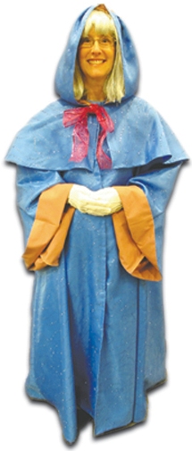 Cinderella's Fairy Godmother Costume