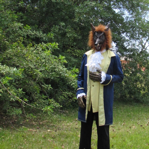Beauty & the Beast Costume mccall's 4626 