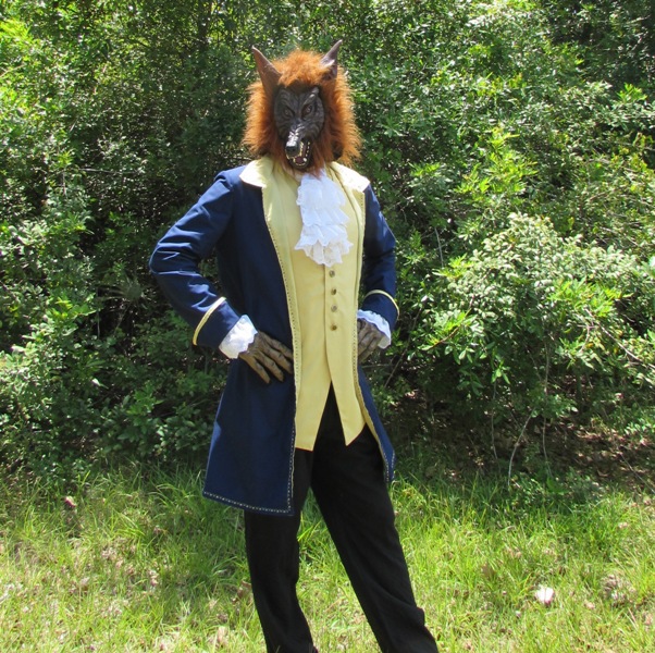 Beauty & the Beast Costume mccall's 4626 