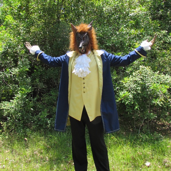 Beauty & the Beast Costume mccall's 4626 