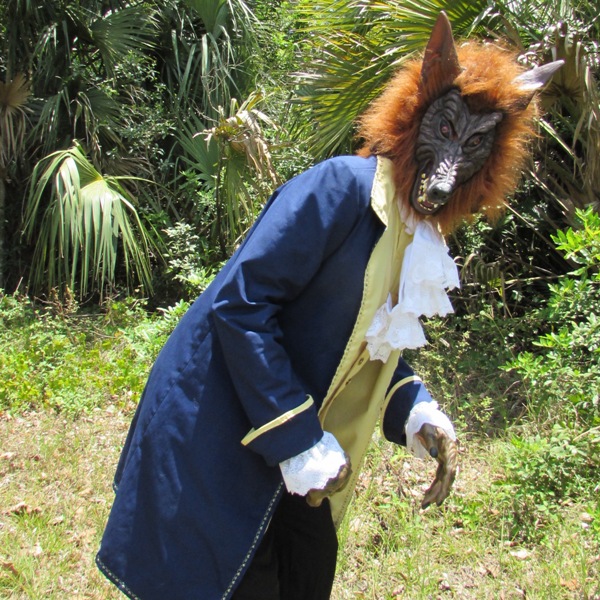 Beauty & the Beast Costume mccall's 4626 