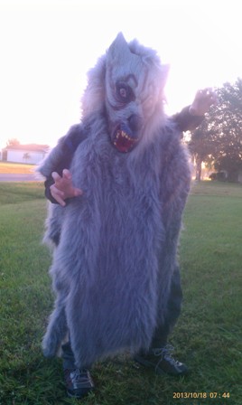 Easy To Make DIY Boy Wolf Costume 